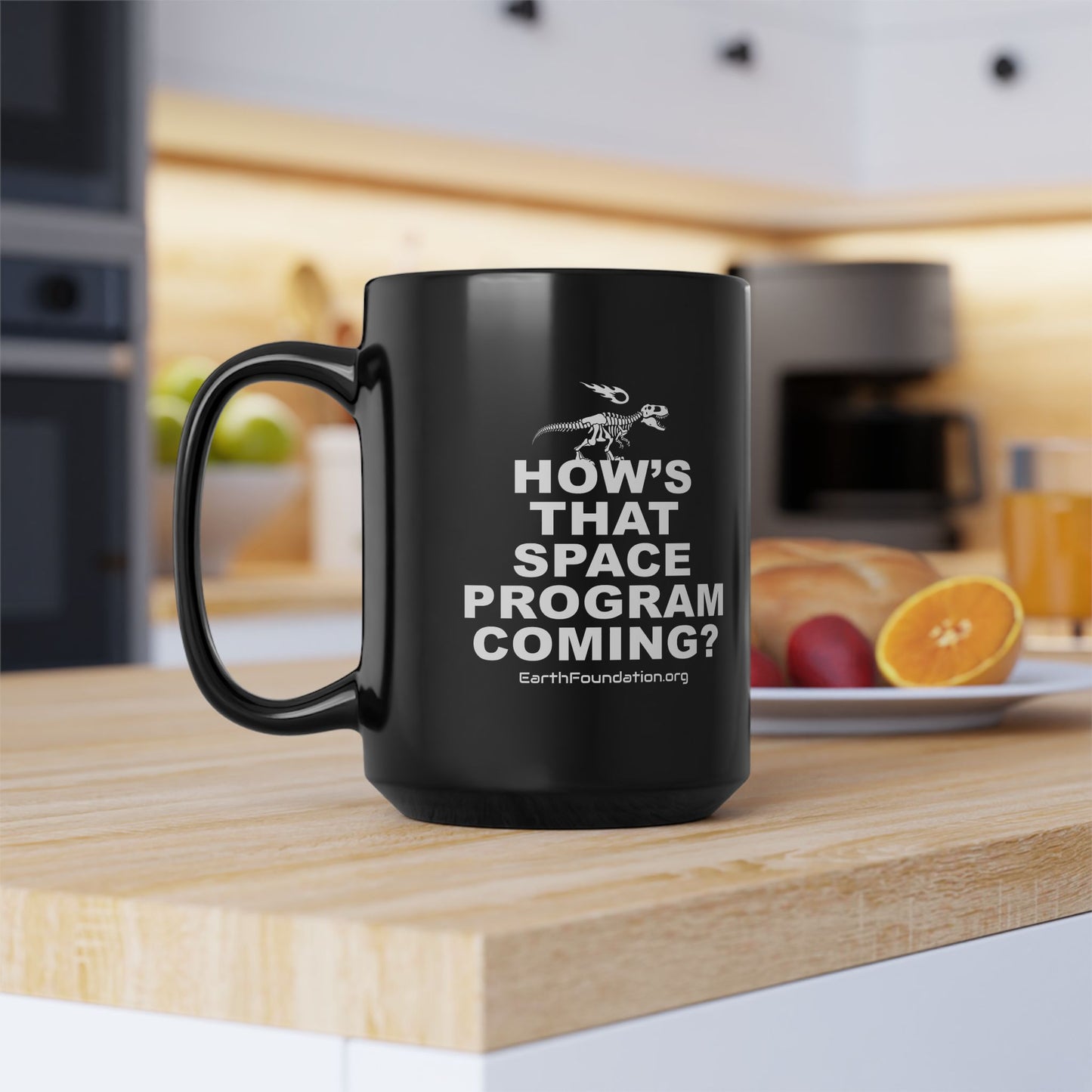 "How's That Space Program Coming?" Mug (15oz)